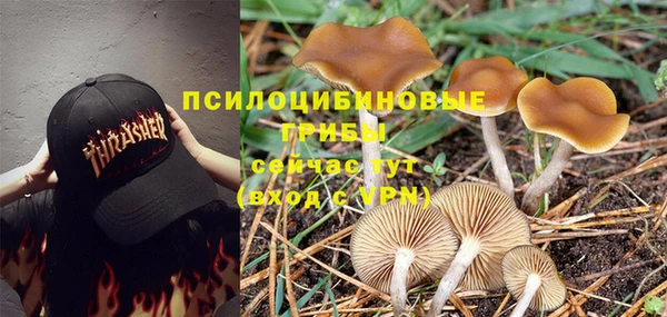 прущая мука Арсеньев