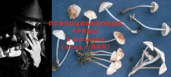 прущая мука Арсеньев