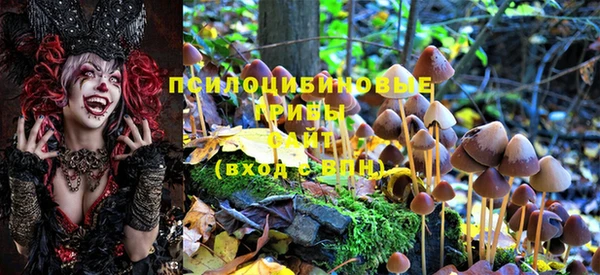 крисы Балабаново