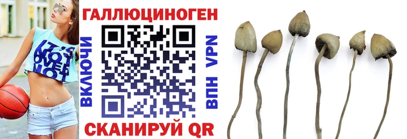 гидра зеркало  Мичуринск  Псилоцибиновые грибы Psilocybine cubensis  наркота 